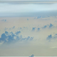 Illustration for article titled Do Giant Plumes of Saharan Dust Explain Why We’re Having Such a Quiet Storm Season?